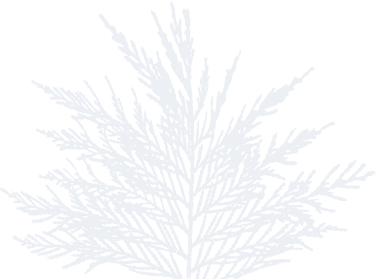 Home The Armstrong Creek Company